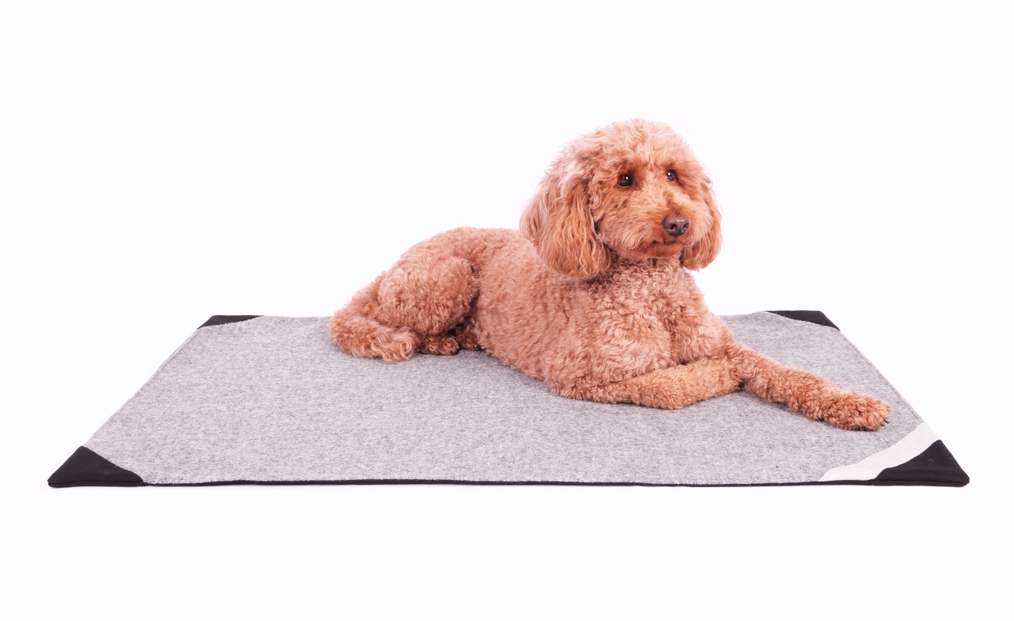 Hundedecke Anton